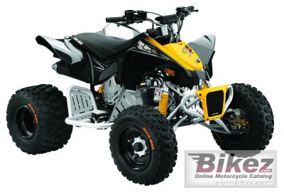2010 Can-Am DS 90 X photo